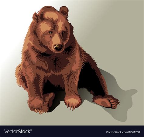 Drawing of a sitting bear Royalty Free Vector Image