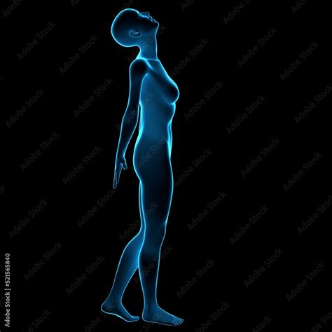 Holographic X Ray Naked Woman Mannequin In A Freedom Pose Looking Up With Outreached Arms 3d