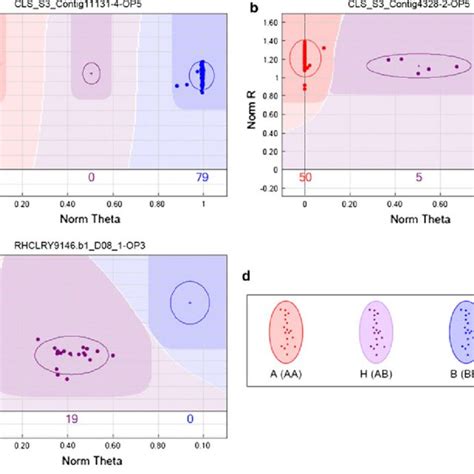 Representative SNP Genotype Cluster Patterns Displayed By The Illumina