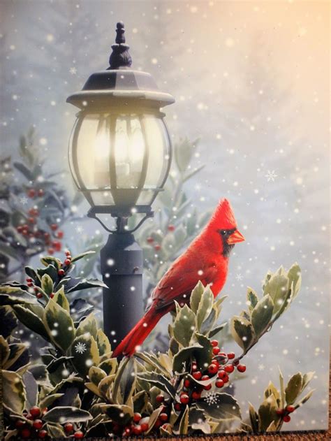 Christmas Cardinal With Holly Christmas Cardinals Holiday Canvas