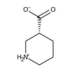 Piperidin 3 carbonsäure 98 Thermo Scientific Chemicals