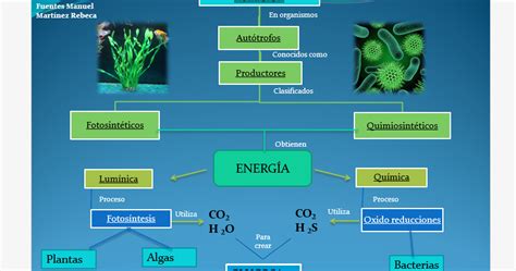 Cuaderno De Biologia Iv De Bradshan Correa Grupo Mapa De Nutrici N