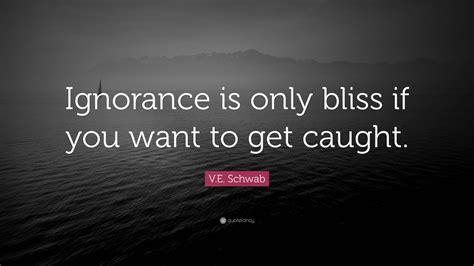 V E Schwab Quote “ignorance Is Only Bliss If You Want To Get Caught ”