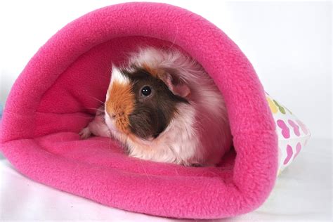 Make Your Own Guinea Pig Snuggle Sacks Digital Sewing Pattern Etsy Uk