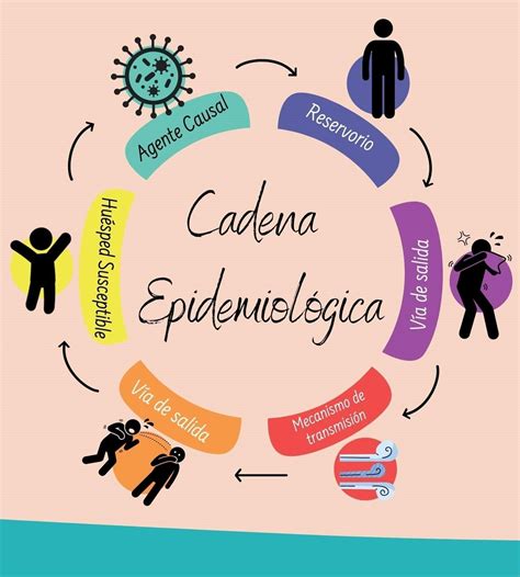 Cadena Epidemiologica Flowchart Images