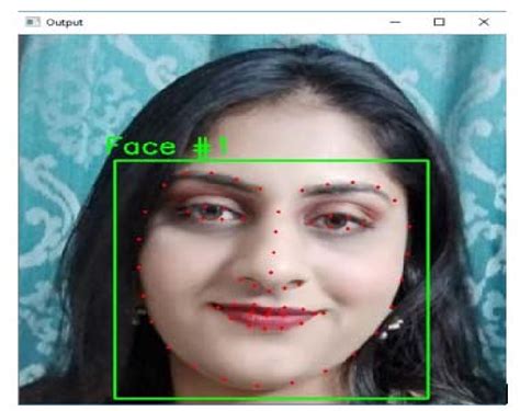 Visualizing The 68 Facial Landmark Coordinates Estimate The Location Of