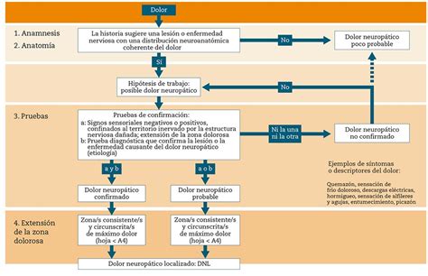 Actualizaci N En El Abordaje Diagn Stico Y Terap Utico Del Dolor