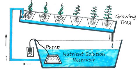 Hydroponic Passion Nutrient Film The Jetfilm Technique System Nft