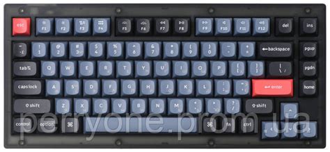 Купить Keychron Клавиатура V1 84 Key QMK Gateron G PRO Red Hot Swap RGB Frosted Black Perry