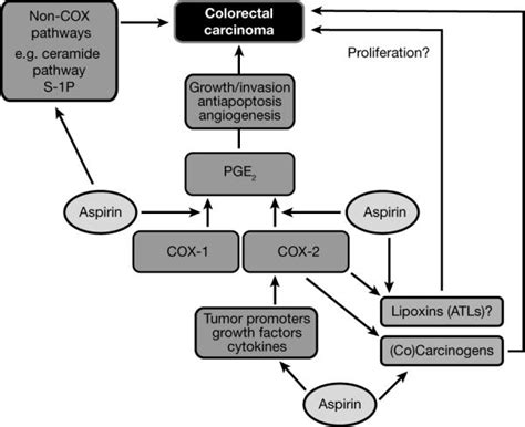 Aspirin In The Chemoprevention Of Colorectal Neoplasia An Overview