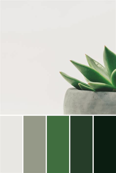 Potted Plant Color Palettes This Growing Home Green Colour Palette