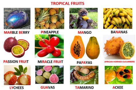 Sunday Delights: Tropical fruit salad - Learn English With Africa