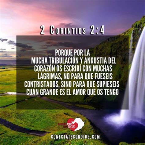 Los 7 Mejores Versículos Del Amor De Dios Conéctate Con Dios