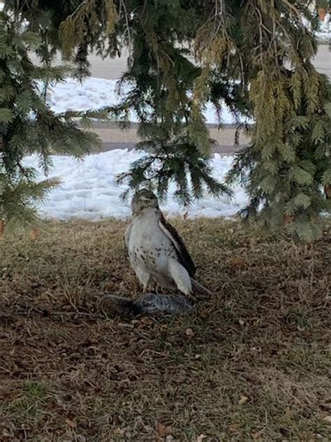 362 Best Taft Images On Pholder Earth Porn History Memes And Yosemite