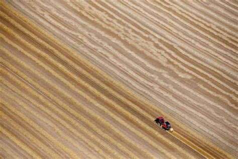 Creerse M S Que Los Dem S Y Otras Diferencias En La Manera De Pensar