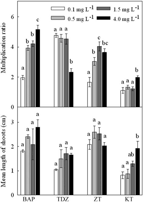 Effects Of Cytokinins And Their Concentrations On Multiplication Ratio