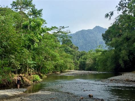 Best time to visit Sumatra | Discover Sumatra