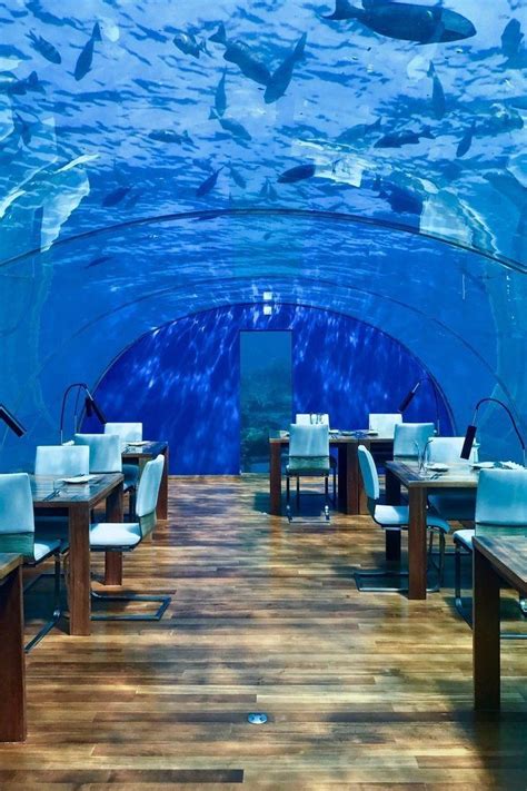 Maldives Island With Underwater Restaurant - maldive islands resort