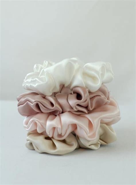 Pure Silk Hair Scrunchies Set Of 4 Soft Tones 19mm Silk Charmeuse