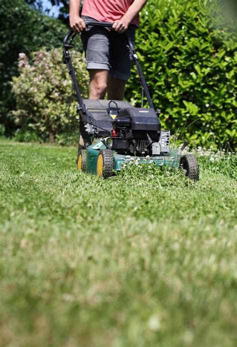 Rasenmähen im Bezirk Steyr: Wann darf wo wie lange gemäht werden