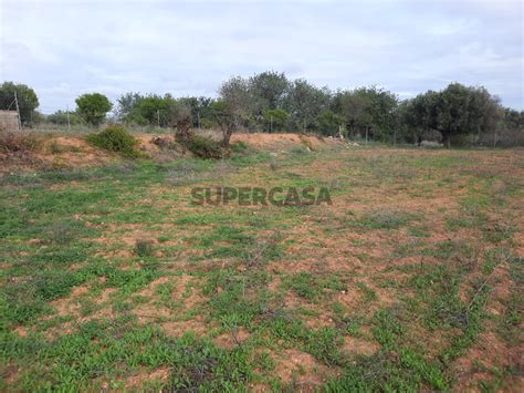 Quintas E Casas R Sticas Herdade Venda Na Rua De Faro Supercasa