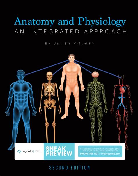 Pdf Anatomy And Physiology An Integrated Approach Second Edition