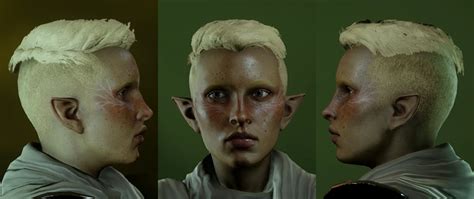 Get Your Freckle On At Dragon Age Inquisition Nexus Mods And Community