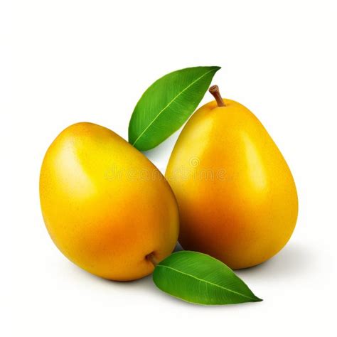 Mangos Amarillos Ultra Realistas Sobre Fondo Blanco Stock De