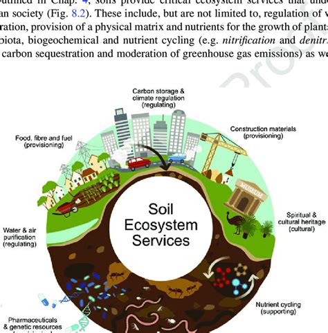 2 Schematic diagram of soil ecosystem services. Ecosystem services are ...