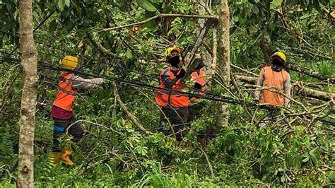 Antisipasi Cuaca Ekstrim Pln Imbau Masyarakat Aktif Laporkan Potensi