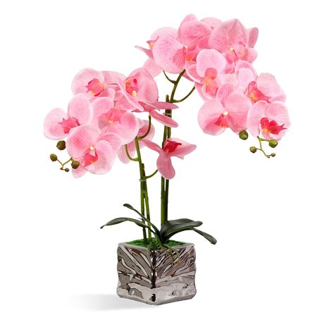 Larksilk Artificial Orchids Real Touch Ultra Realistic Faux Decorative