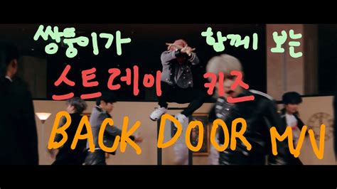 쌍둥이가 함께 보는 스트레이 키즈 Back Door Mv Stray Kids Back Door Korean