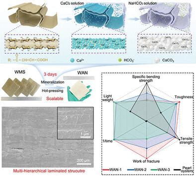 Scalable Production Of Robust And Tough Biomimetic Composite By Rapid