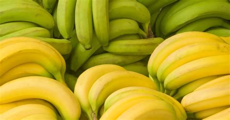 Grün gelb oder braun Wie reif ist Banane am gesündesten BUNTE de