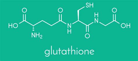 L Glutathione Manfaat Dan Kegunaannya Sebagai Antioksidan