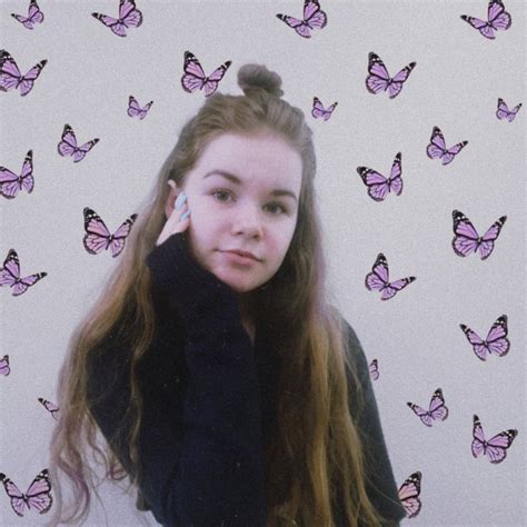 бабочки