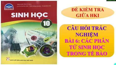 Câu Hỏi Trắc Nghiệm Sinh 10 Chân Trời Sáng Tạo Tổng Hợp Và ôn Luyện