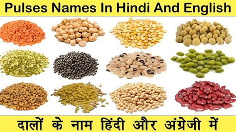 Pulses Names In English And Hindi With Pictures दल क नम हद और