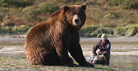 Der Bär in mir Stream Jetzt Film online anschauen