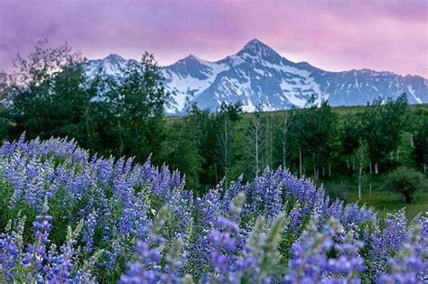 Hiking | Visit Telluride