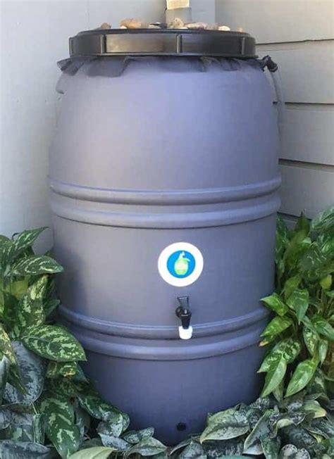 6 Of The Best Rain Barrels That Experts Are Using In 2024 World Water