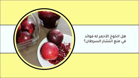 الفوائد الصحية للخوخ الأحمر تعرف على 4 مزايا لثمرة الخوخ Peach