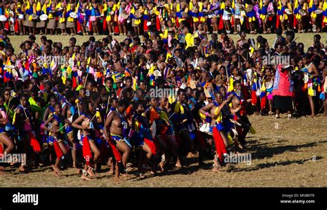 Reed Dance Stock Photos & Reed Dance Stock Images - Alamy