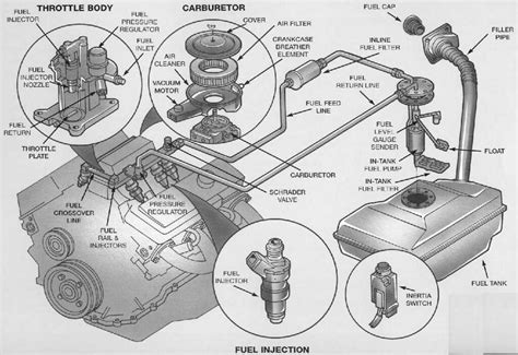 One Stop Guide Seadoo 951 Fuel Line Diagram For Hassle Free