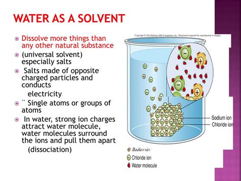 Ppt Ch Chemical And Physical Features Of Seawater And The World