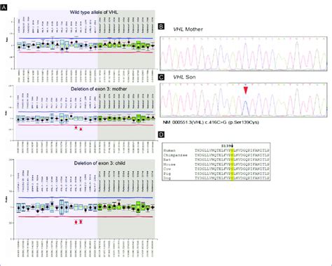 A Multiplex Ligation Dependent Probe Amplification MLPA In Which The