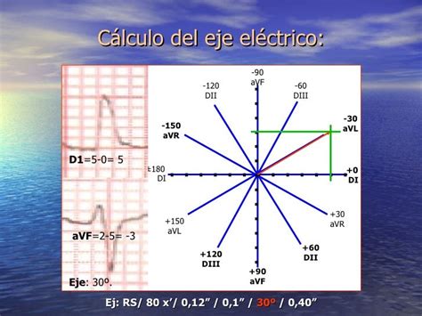 Fisiologia Electrocardiografia Normal Ecg