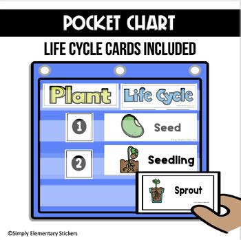 Life Cycle Of A Plant Flipbook And Science Anchor Chart Poster 2nd Grade