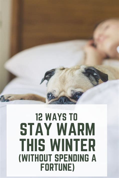 stay warm  electricity artofit