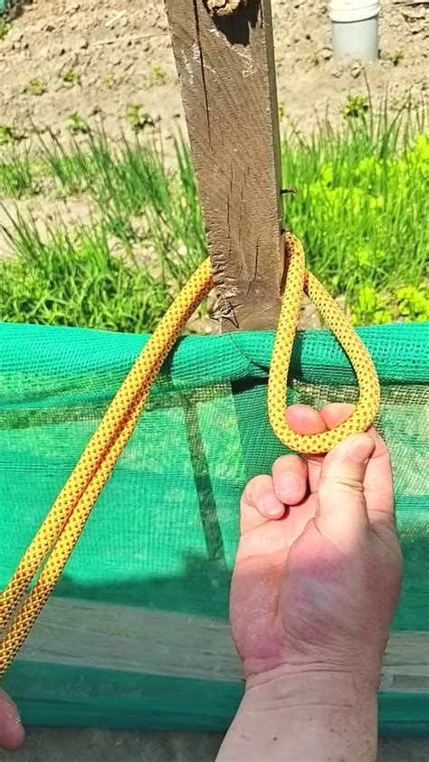 166K views · 3.3K reactions | How to tie knots rope diy at home ep341 # ...